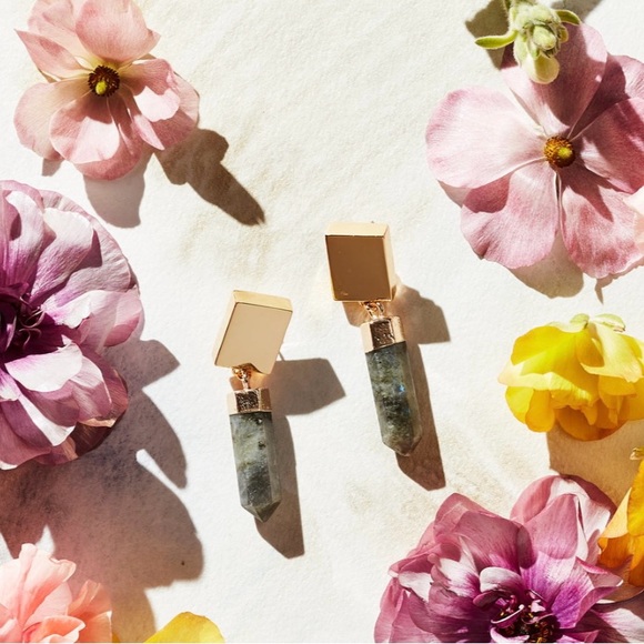 Joanna Buchanan Modern Quartz Earrings-Labradorite - Picture 2 of 6